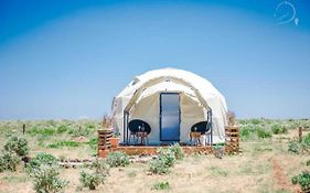 Amanya 1-Bed Leopard Tent
